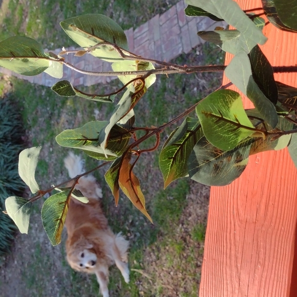 FLORALS - Picture 6 of 6